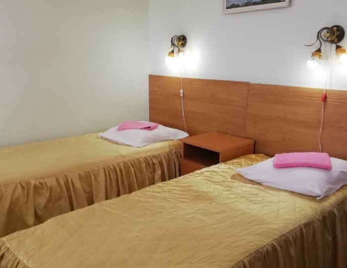 Стандарт Плюс 2-местный 1-комнатный ПОДСЕЛЕНИЕ - Санаторий «Тараскуль» Тюмень